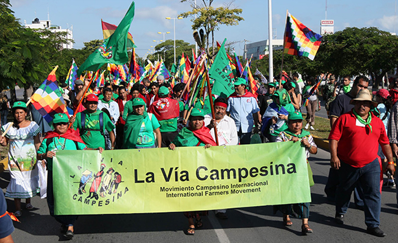 African peasants highlight their struggles at Via Campesina global  conference | Pambazuka News